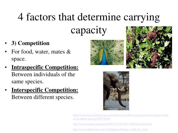 what is carrying capacity give an example