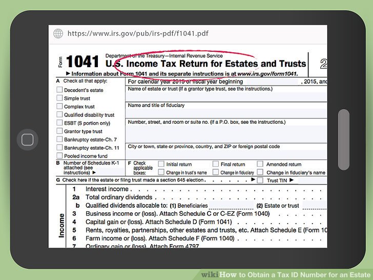 federal tax id number example
