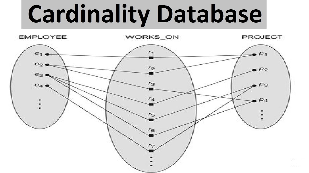 which is an example of a database