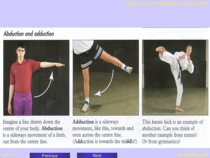 example of condyloid joint in sport