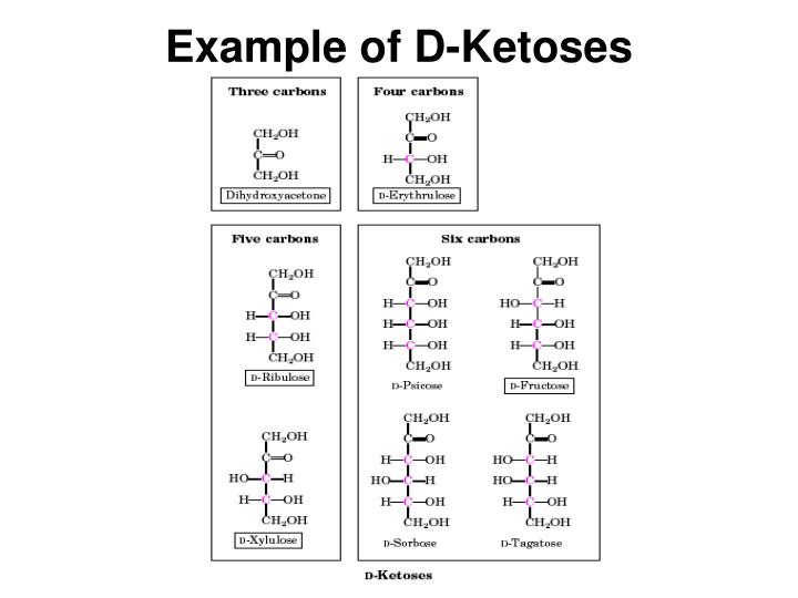 fructose is an example of a ketopentose