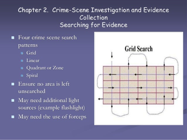 crime scene investigation report example
