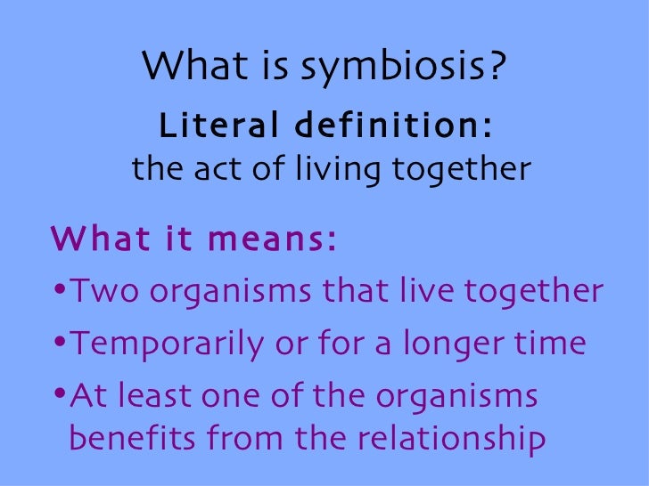 describe an example of a symbiotic relationship