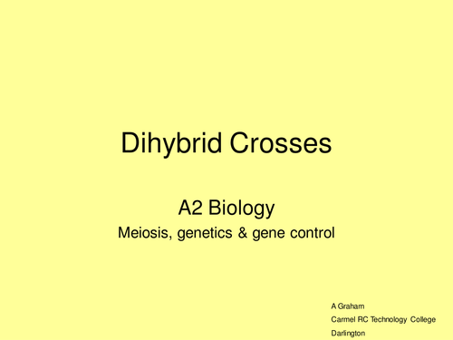 example of monohybrid cross and dihybrid cross
