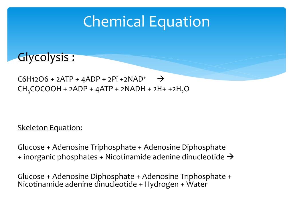 glycolysis is an example of what type of process