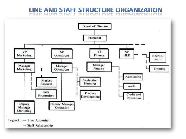 line and staff organization example