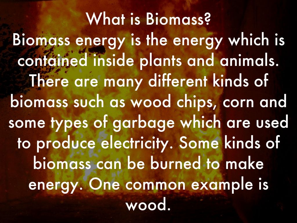 what is an example of biomass fuel