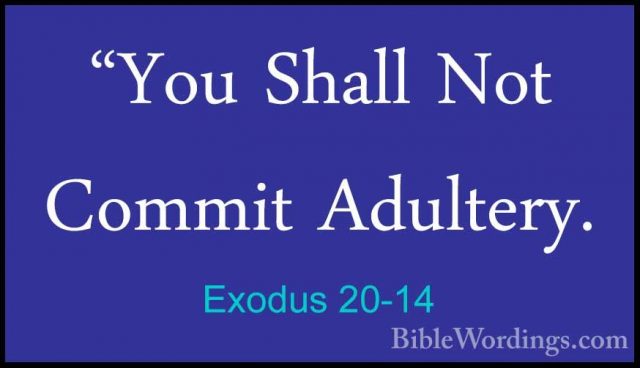 you shall not commit adultery example